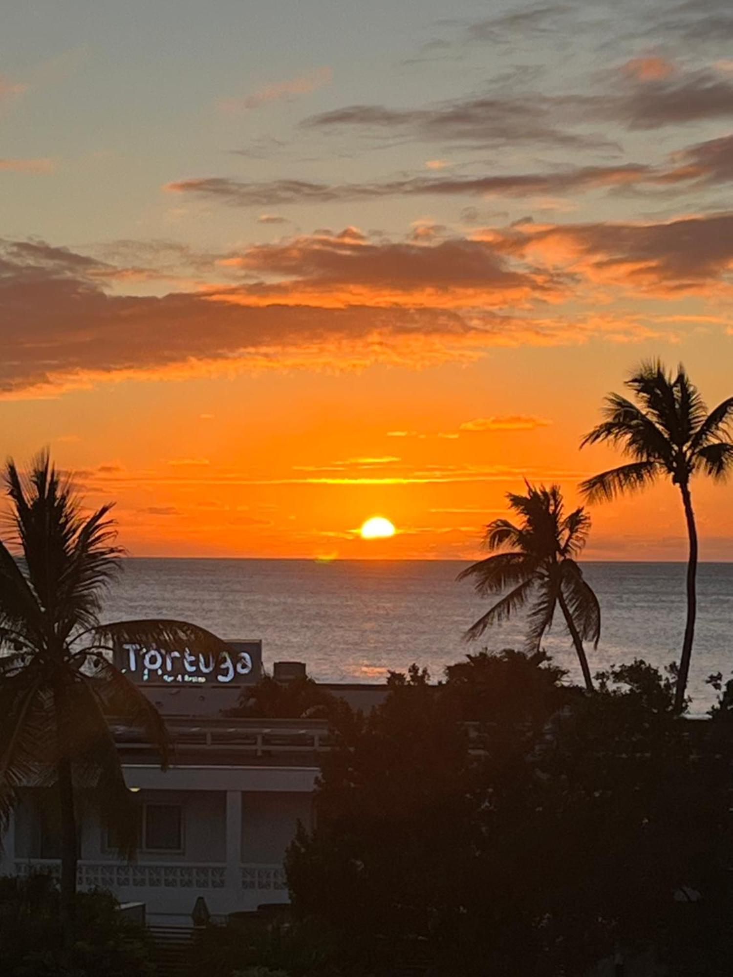 Lowlands Royal Islander La Terrasse Pelican Cove Sxm מראה חיצוני תמונה